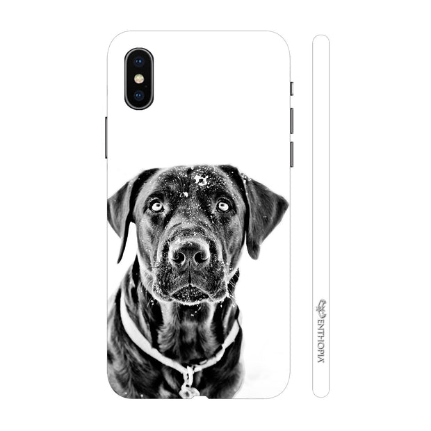 Hardshell Phone Case - Black Dog - Enthopia